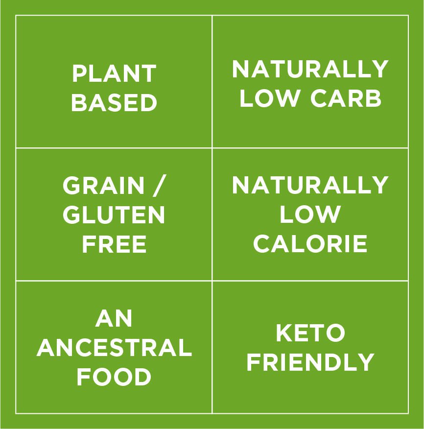 Plant Based